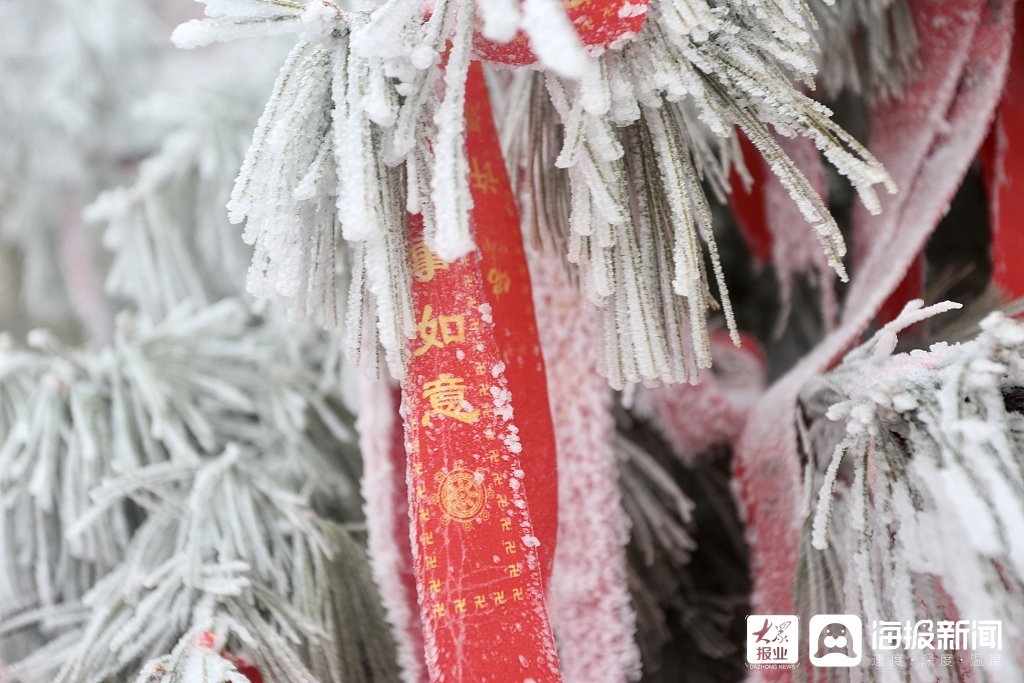 山东泰安：雪后泰山现雾凇宛如仙境美不胜收