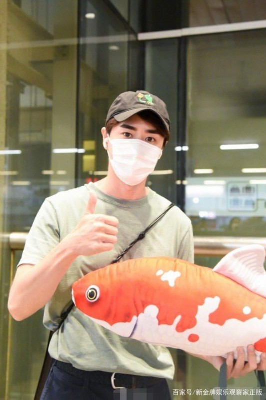 杨玏机场被送鱼|杨玏机场被送鱼是怎么回事？具体什么情况？究竟发生了什么？