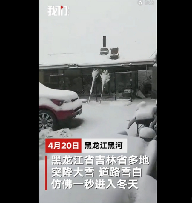 黑龙江吉林多地降雪，当地居民直呼出不去屋！网友：过得不是一个季节