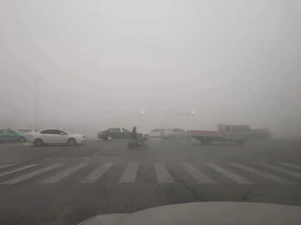 山东将大雾红色预警降为黄色预警 11市仍有浓雾