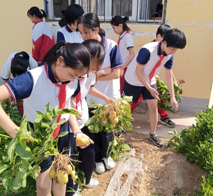 以劳动庆丰收！长清学子这样过丰收节