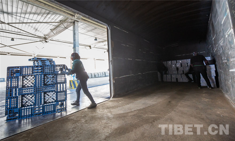 湖北加油！西藏筹集价值850万的天然饮用水和牦牛肉驰援湖北