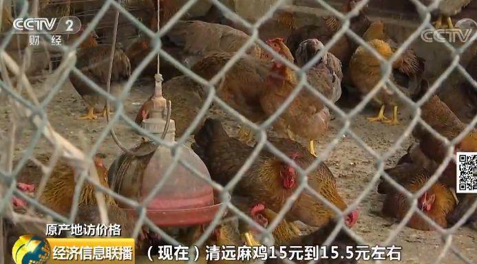 记者调查：鸡肉价格怎么走 还能愉快地吃鸡否?