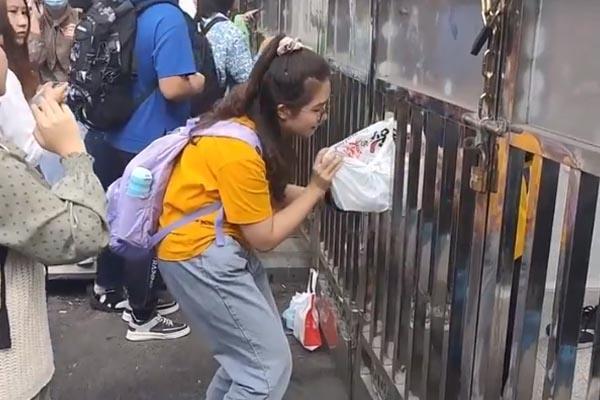 990fb1f195378bed1c2441483be81270