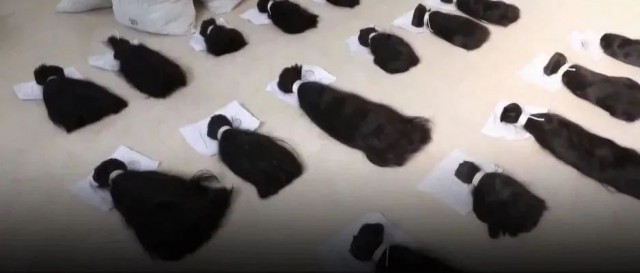 可怕！大量头发走私入境，从哪来？卖给了谁？