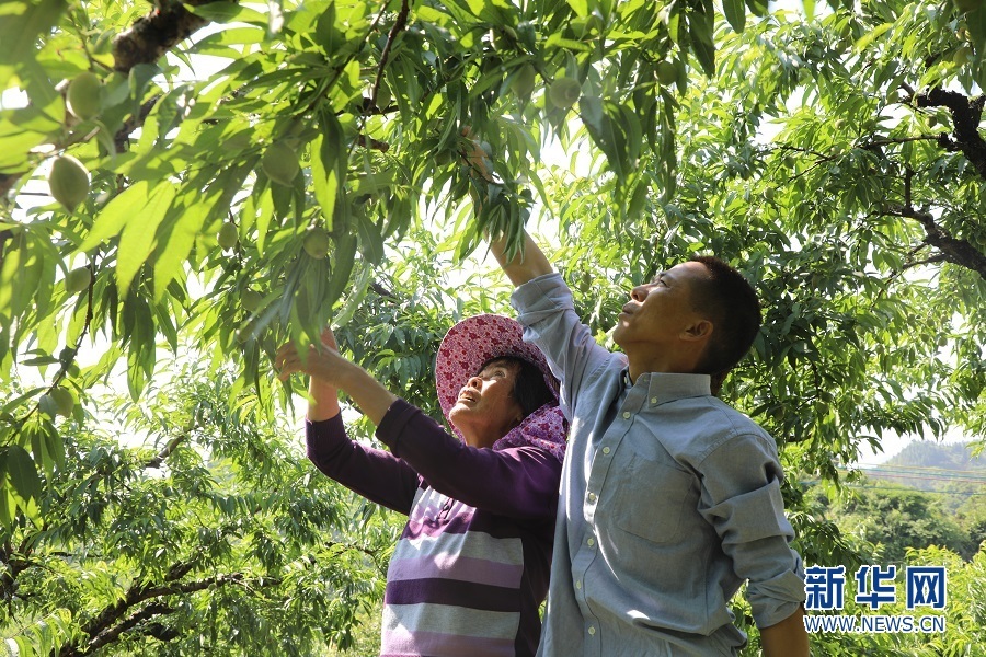 沿着高速看中国｜一条乡村振兴“路”