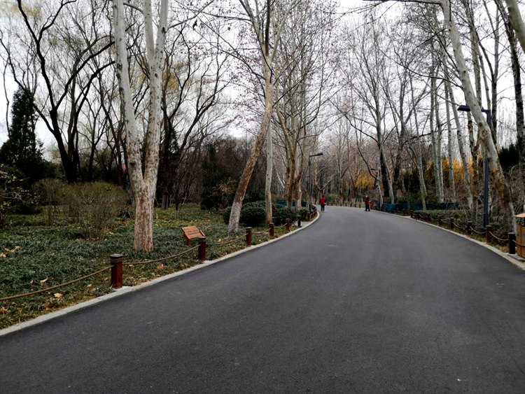 山东各大景区恢复开放迎来首批游客！注意做好防护切莫扎堆