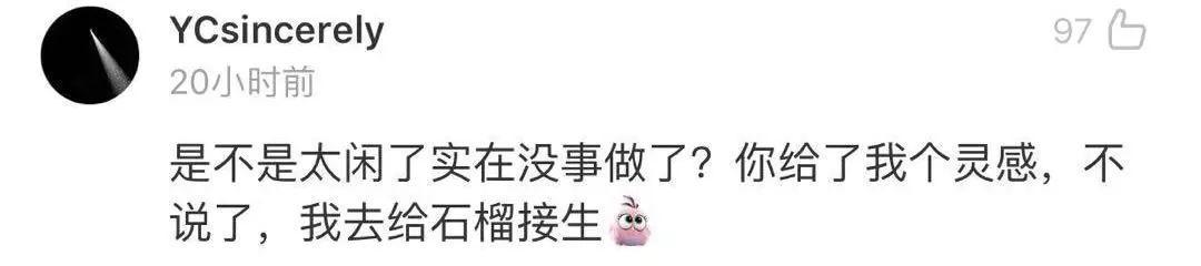 春节不能出门把全国网友憋成啥样？给猫讲函数，为橘子接生