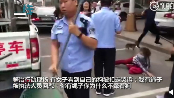 怼得好!女子遛狗不栓绳,狗被抓后倒地哭喊