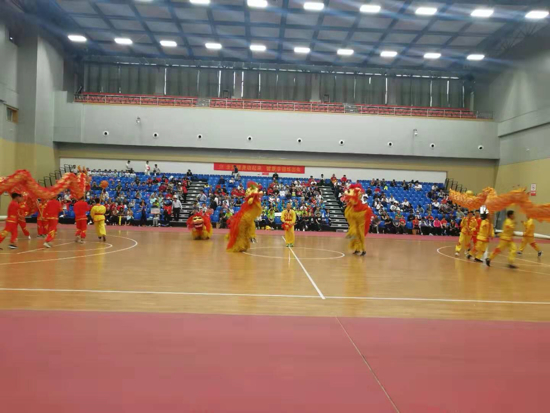 2019年济南市国家体育锻炼标准达标测验赛开幕