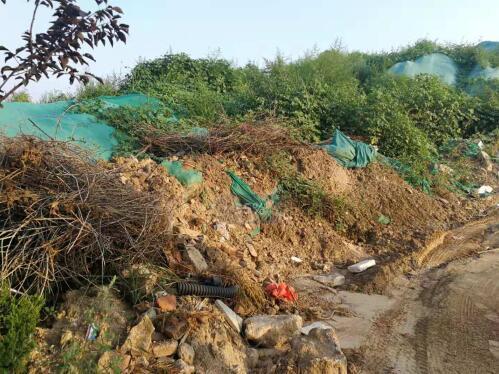 【啄木鸟在行动】京台高速与北园高架路交叉口西南侧部分渣土裸露