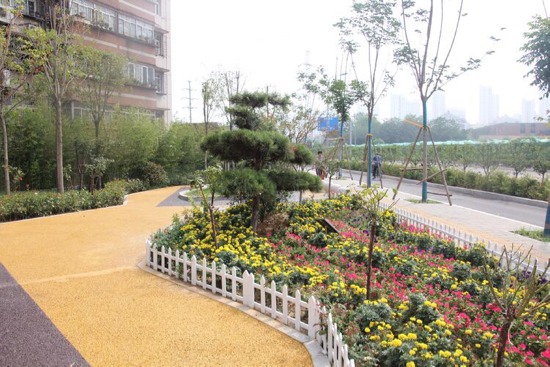 槐荫经十一路新增一处“口袋公园”  “连路面都是彩色的”