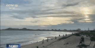 福建漳州11人海滩遇难 疑似夺命的离岸流是什么？遇到时如何自救？