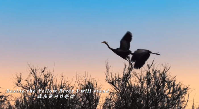 专访《等你在黄河口》英文版译者汤珑：黄河是一首诗