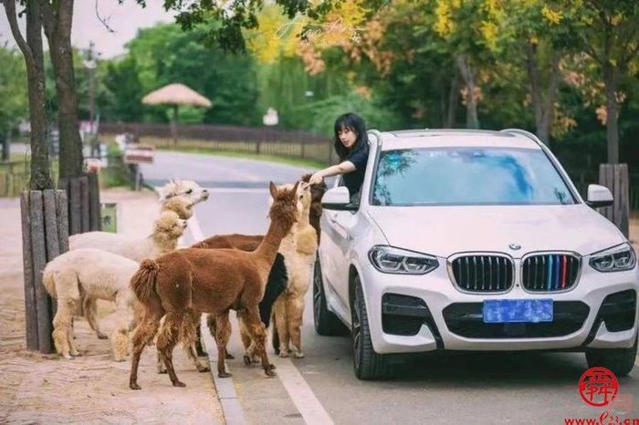 15秒短视频与《三泉溪暖》一起登上山东卫视