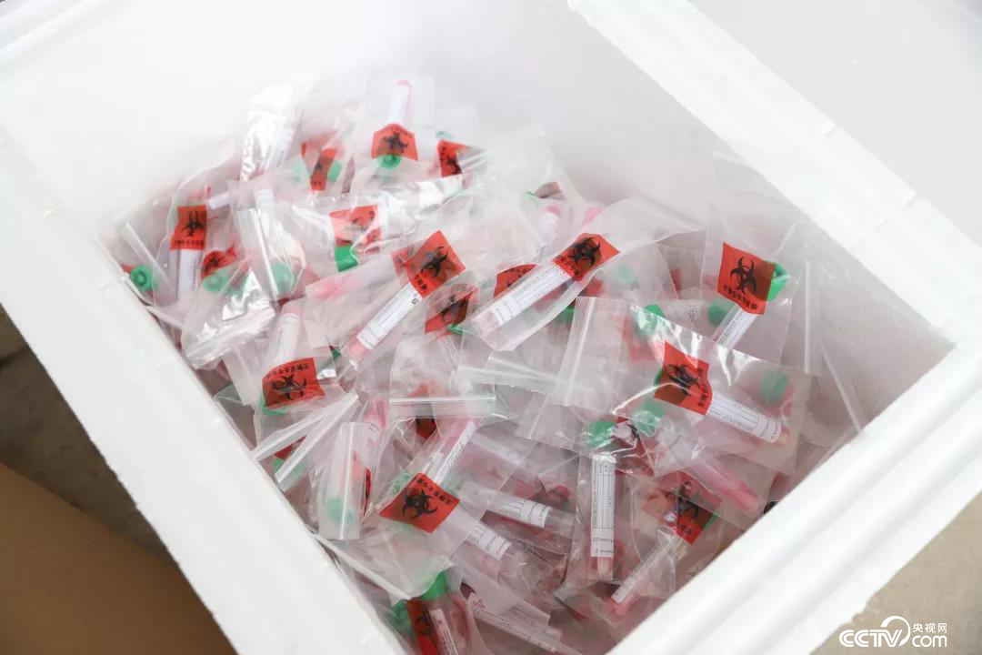 【战疫最前线】五天五夜，我站在“火眼”实验室背后看到这些感动的瞬间