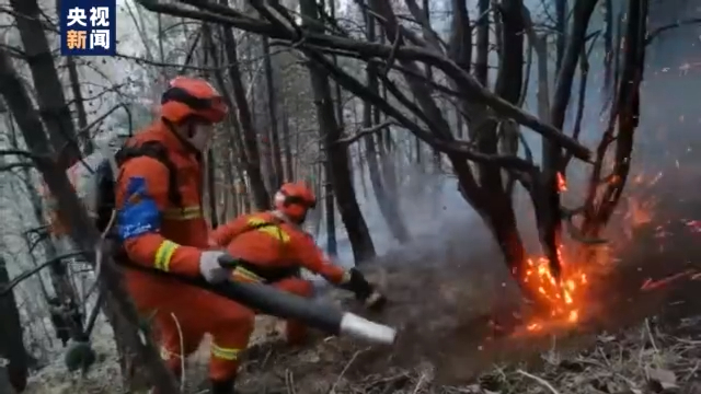 又到清明，因祭扫引发的森林火灾竟有这么多起？后果很严重