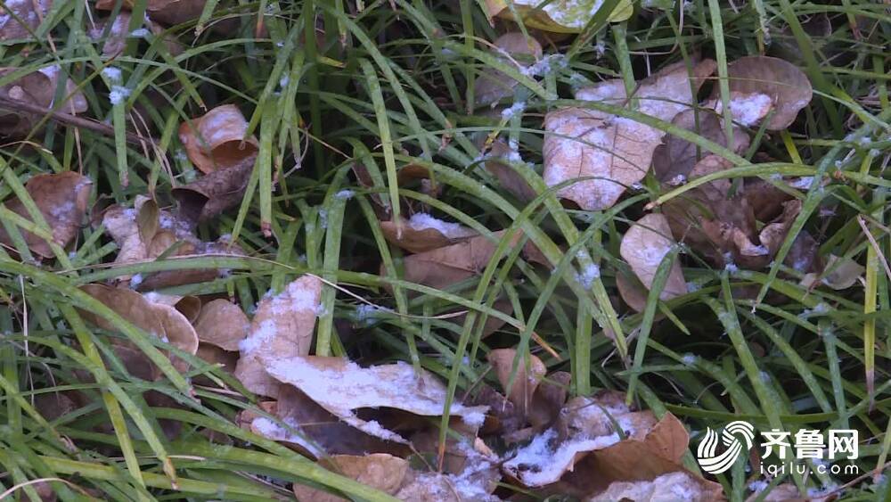 烟台、威海迎来降雪 未来三天气温将呈现回升态势