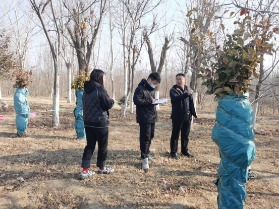 商河今年已开工4个市政交通工程项目