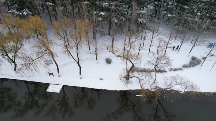 降雪如约而至 雪落大地景色如画
