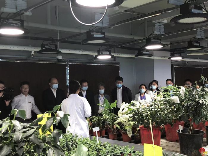 打造“北方种业之都”有底气，济南市政协开展现场商量