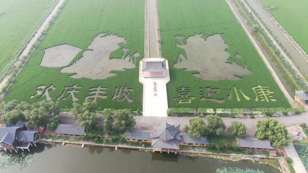 【观察】一道沟,一副担;一畦稻,一幅画