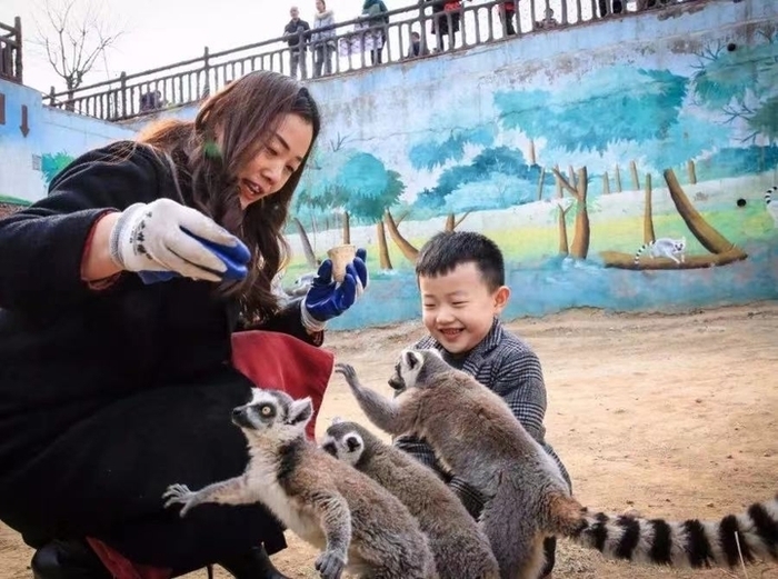 赏灯、游园、民俗、嬉雪……济南文旅集团各景区人气渐旺，精彩不断！