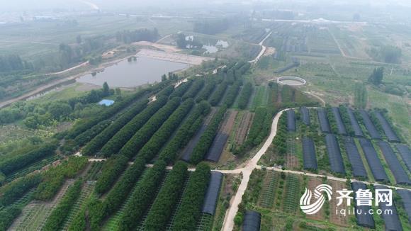 一镜到底看泰安19个村串珠成链 来这里遇见“向往的生活”
