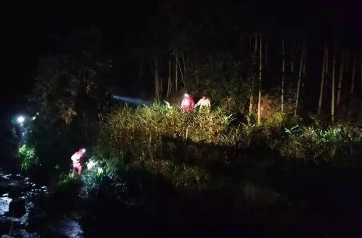 建德九旬老人失踪五天平安回家，靠蘑菇野果生存