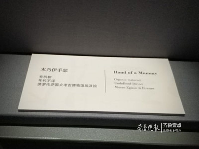 今天省博排起史上最长的队！只为一观埃及木乃伊真容