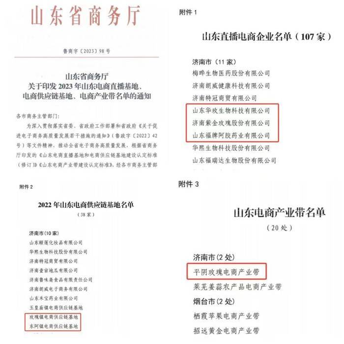 平阴电商遍地开花 开辟全新渠道促农增收