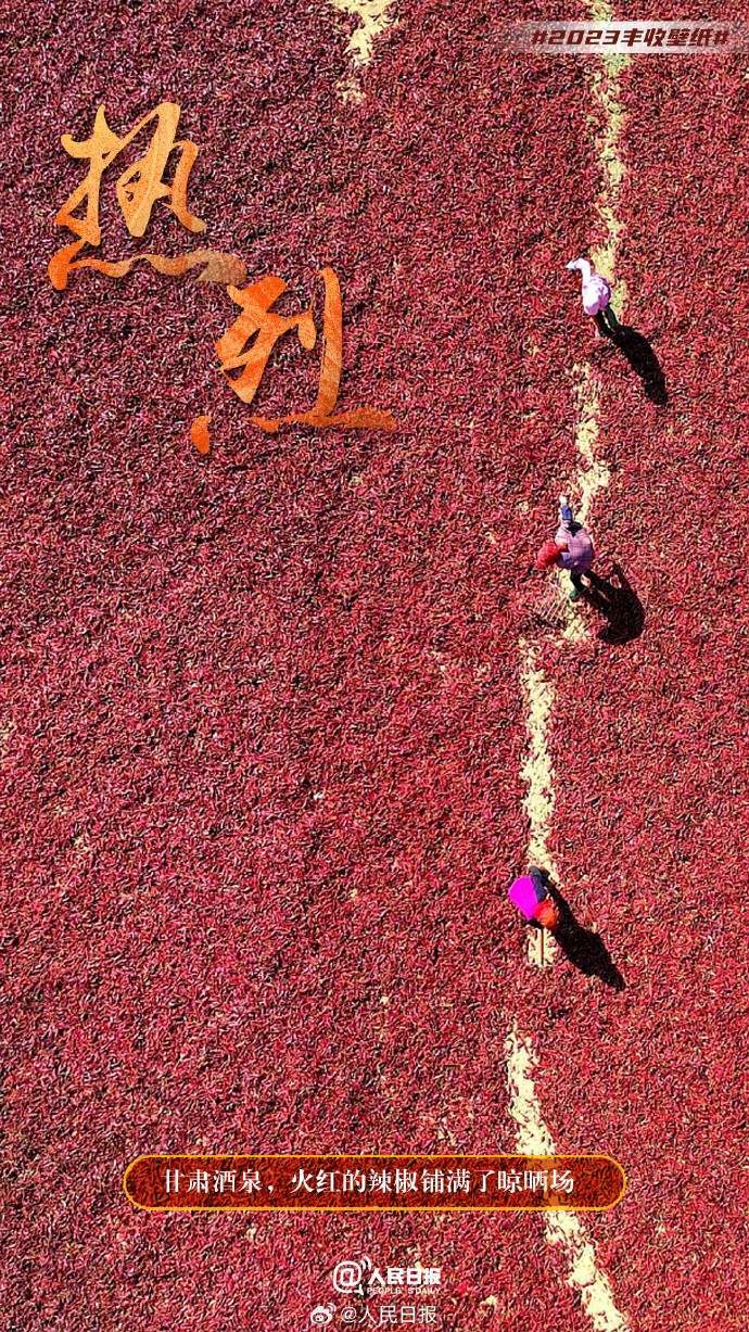 俯瞰丰收大地，美成了壁纸