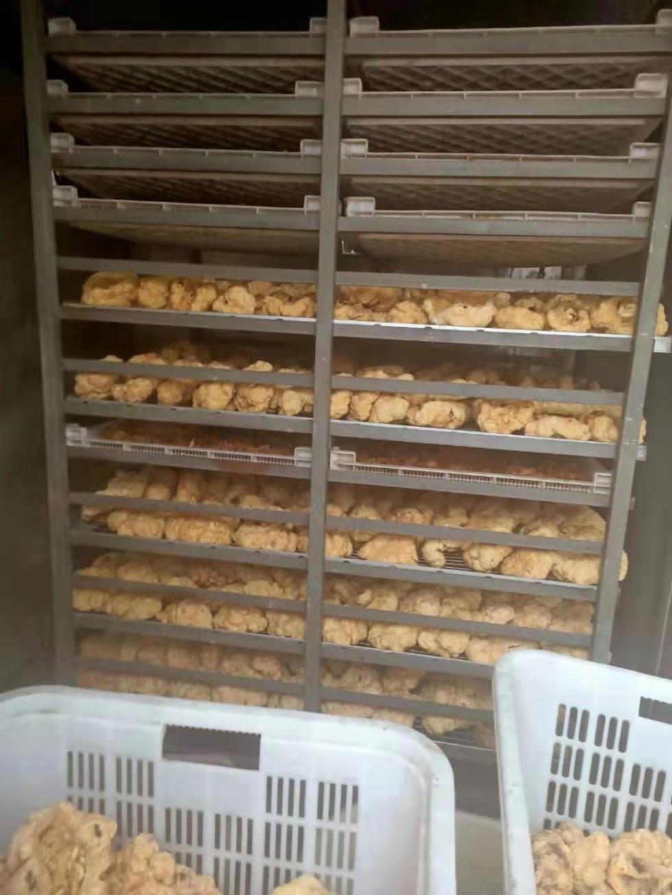 胎盘黑市：商贩称从医废厂殡仪馆收货，月加工万个