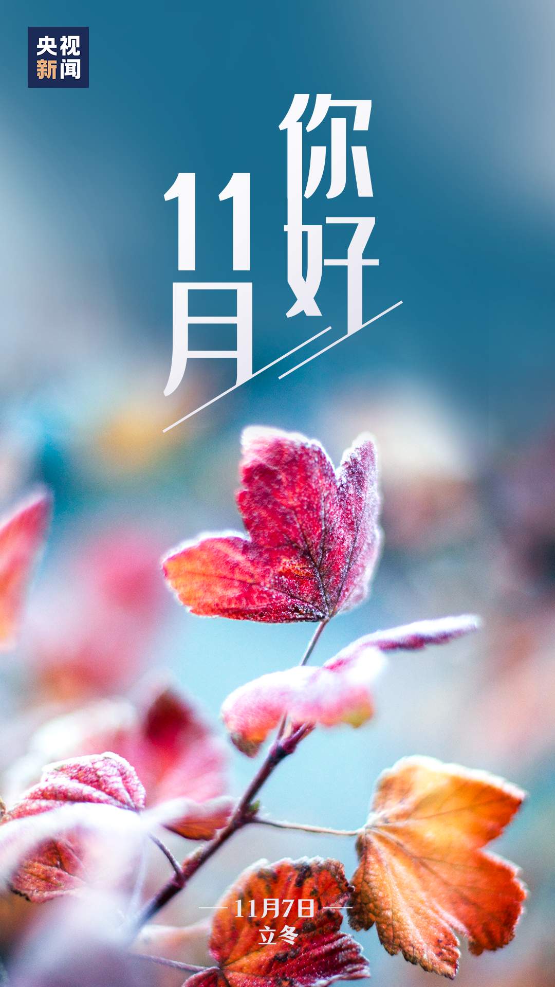 11月，你好！