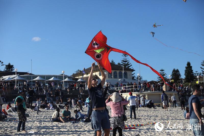 澳大利亚最大风筝节在悉尼举行 吸引数万人参加 