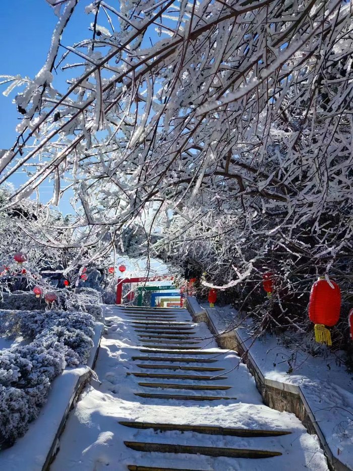 雾凇、雨凇、雪凇同现 跑马岭工作人员感叹“头回见”