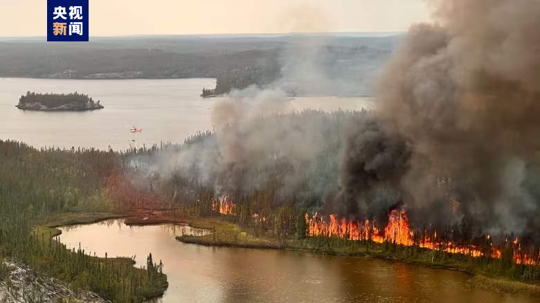 加拿大林火持续 过火面积达16.1万平方公里