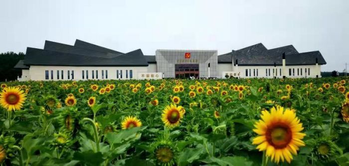 山东诸城：用“三区”共建共享全面推动乡村振兴