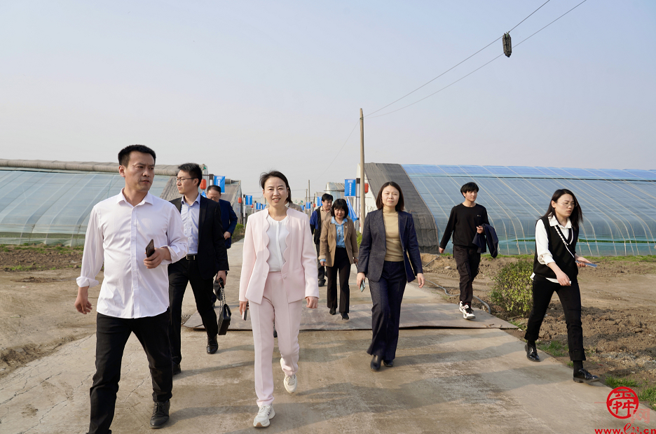 济南市盒马村授牌仪式暨农产品产业对接会成功举办