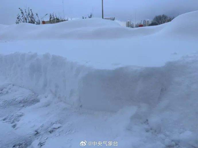 积雪超半米!山东烟台威海遭遇极端性冷流暴雪,“宛如北极科考!”