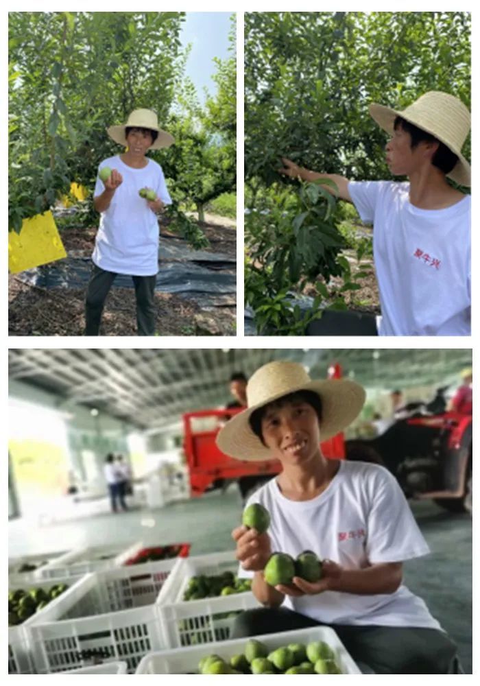 走向我们的小康生活 