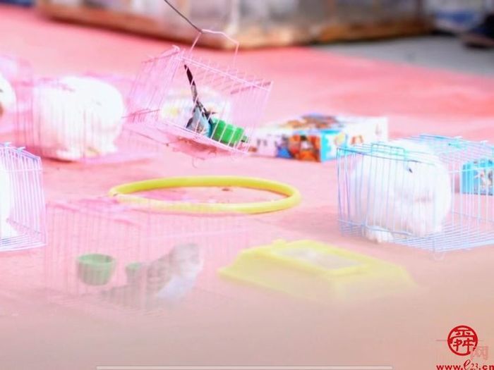 庆新春 闹元宵——2023年三德范“大扮玩”开始啦