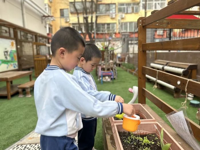 育贤一幼开展“世界森林日”主题活动