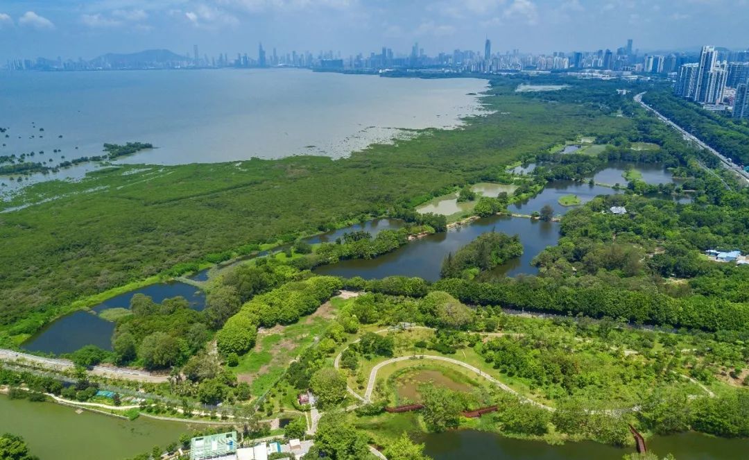 未来的深圳是这样！