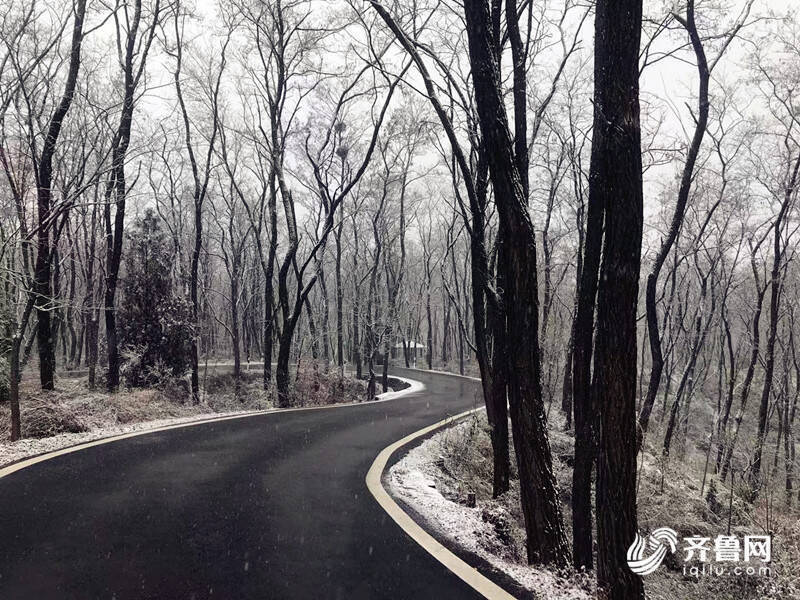 组图｜官宣！山东迎来今冬第一场雪