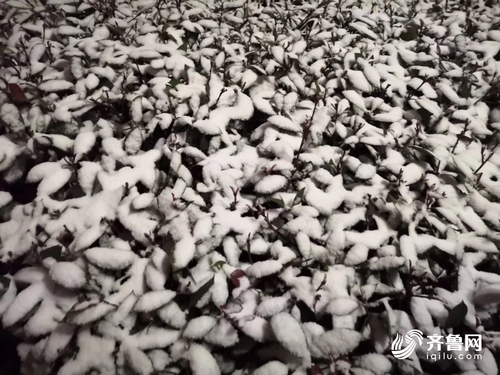 山东继续发布这三个黄色预警 最低温-10℃ 谨防道路结冰