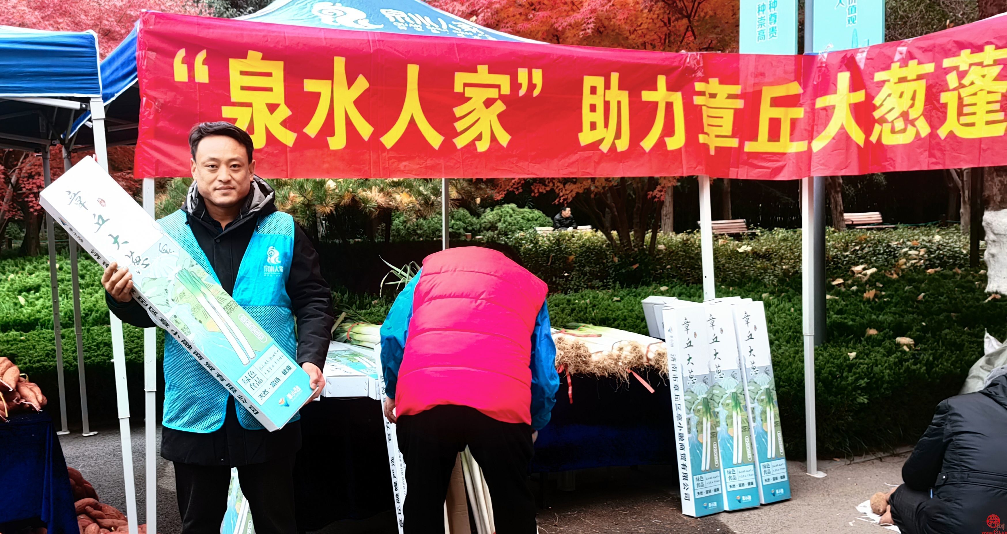 做好农产品的“传送带”  花圃公园里亮出“泉水人家”新冬景