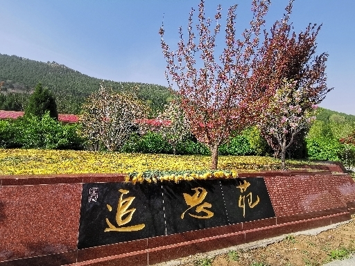 别样清明“感怀依然” 济南玉函山安息园举行共祭仪式