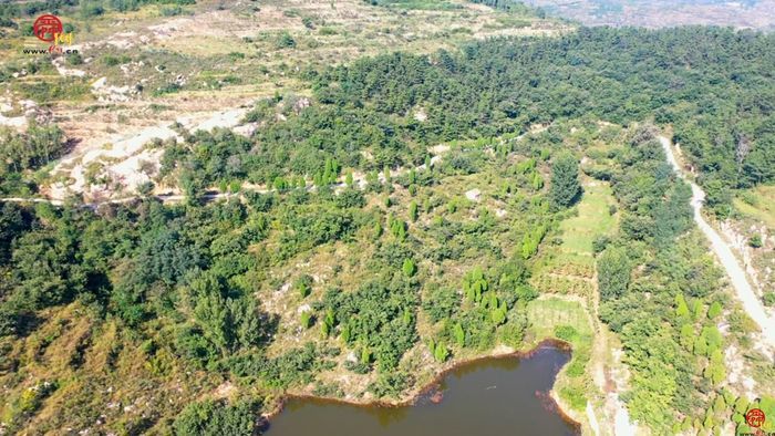 【飞“阅”泉城】雪野湖畔的美丽乡村