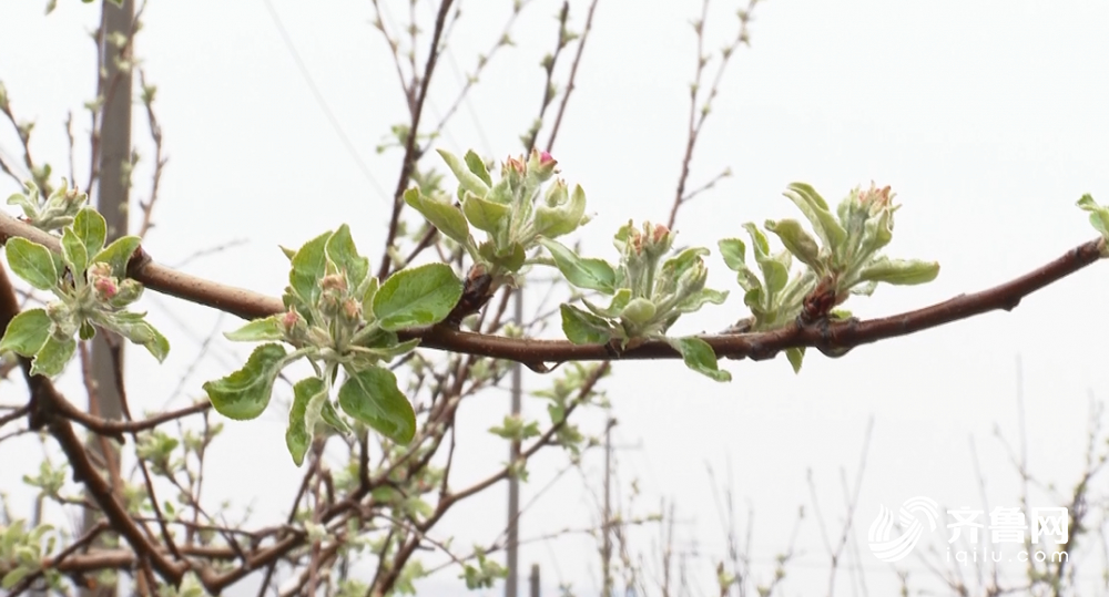 山东强对流天气基本结束 100个县市区出现降水